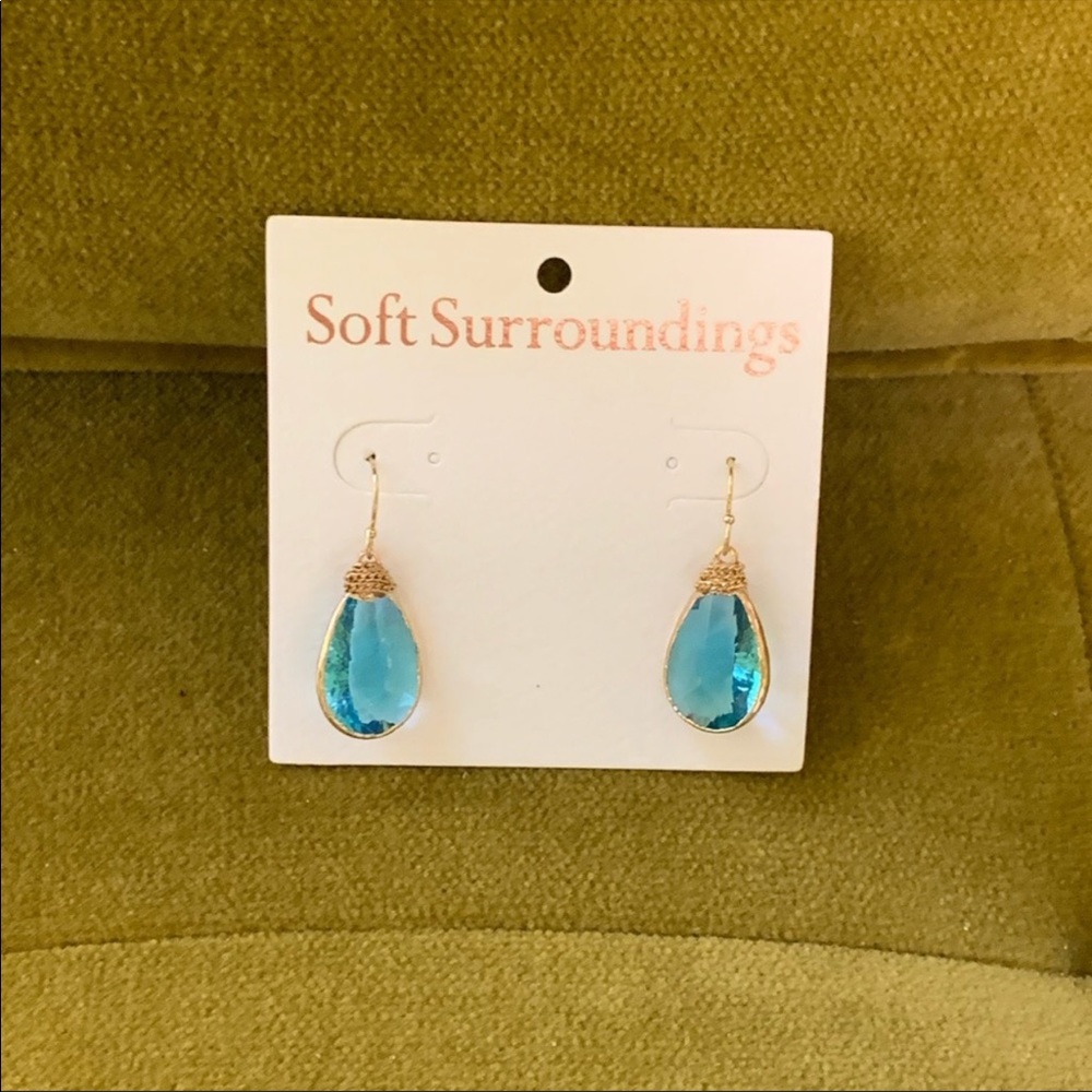 Soft surroundings  earring